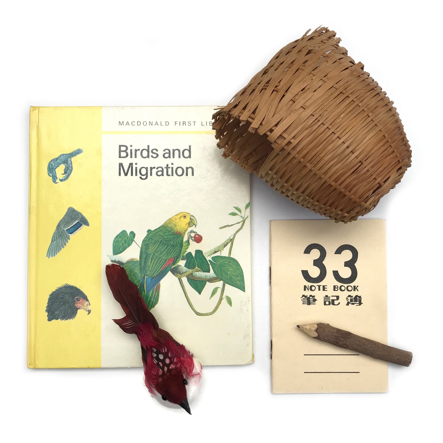 bird lover's set