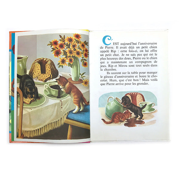 vintage french 'rip et mirou' book