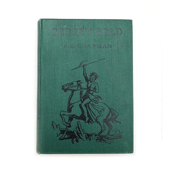 vintage 'secret gold' adventure story book