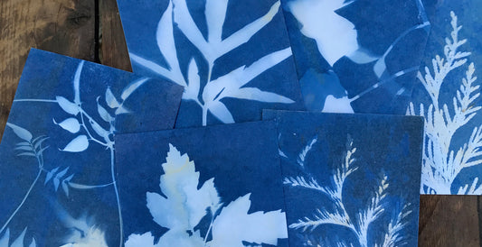 get creative with cyanotypes