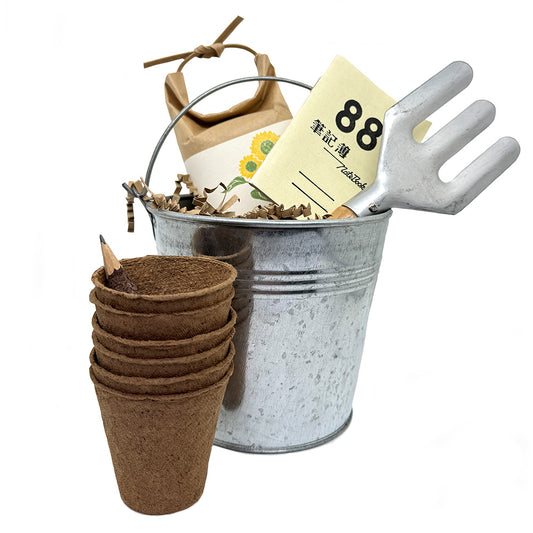 mini garden set in a bucket - sunflower