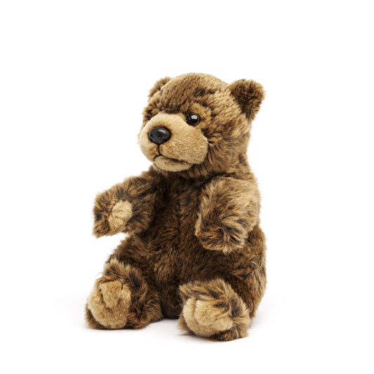 brown_bear