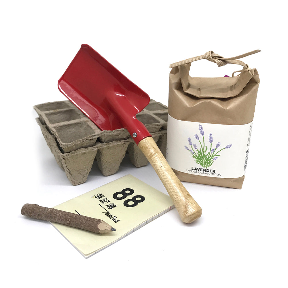 mini gardening kit