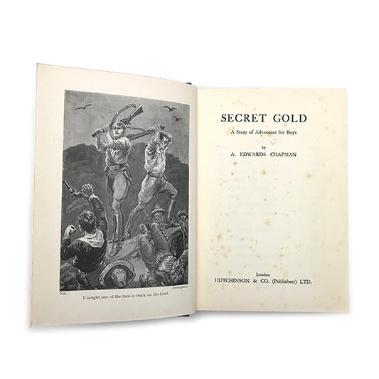 vintage 'secret gold' adventure story book