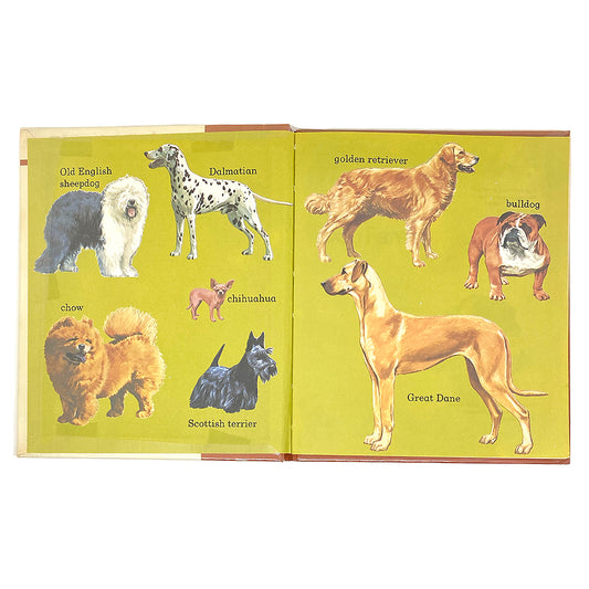 vintage 'the dog family' book