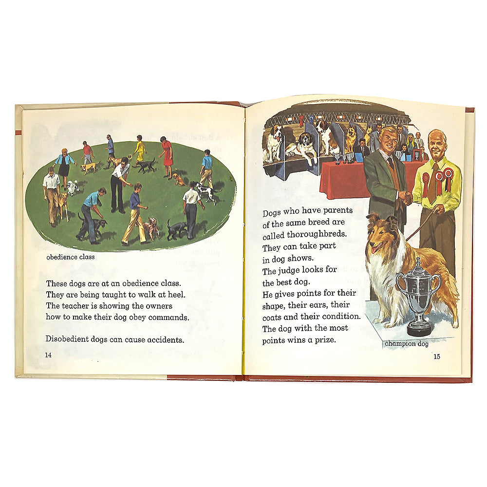 vintage 'the dog family' book