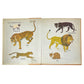 vintage 'cats' book