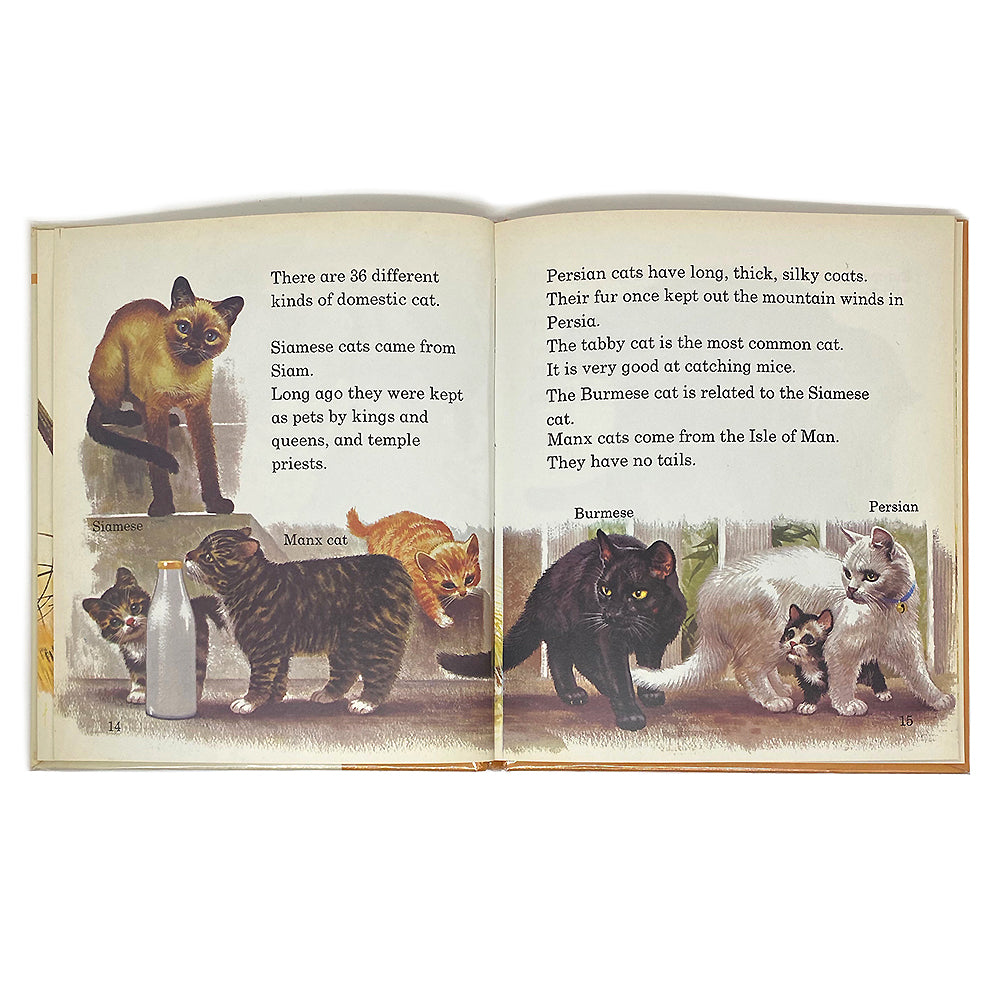 vintage 'cats' book